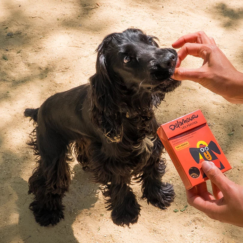 A table, but make it dog !