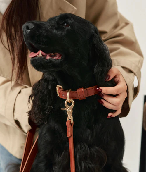 Collier en cuir vegan - Cafide