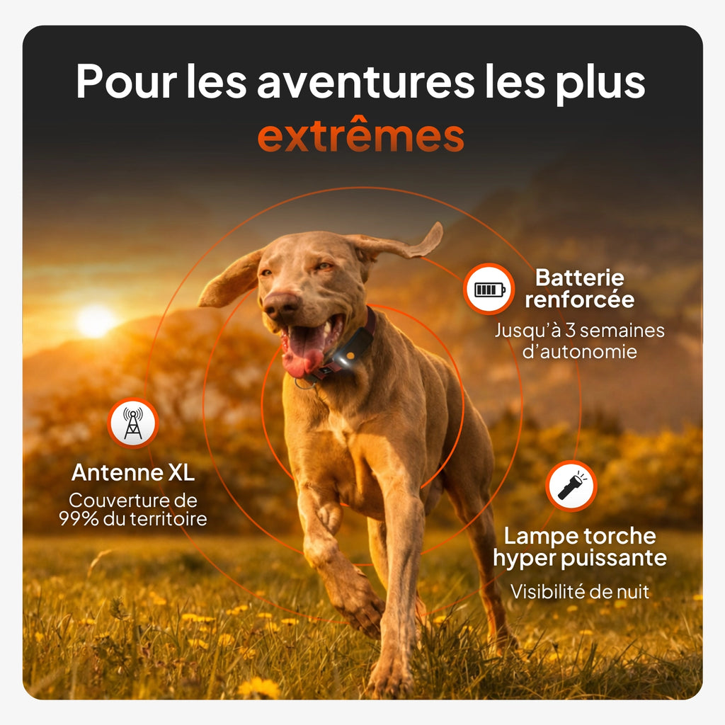 Traceur GPS pour chien - Weenect