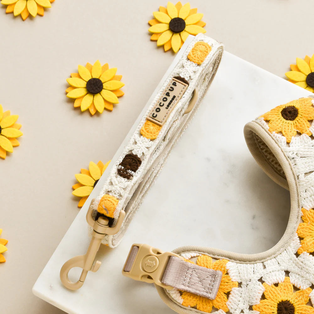 Laisse pour chiot Sunflower Patch - Cocopup London
