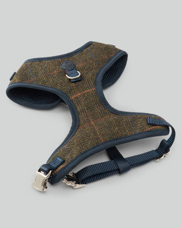 Harnais en tweed à chevrons vert foncé - Hugo&Hudson