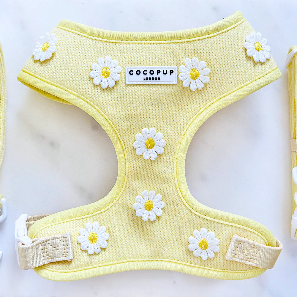 Harnais ajustable Buttercup Pup - Cocopup London