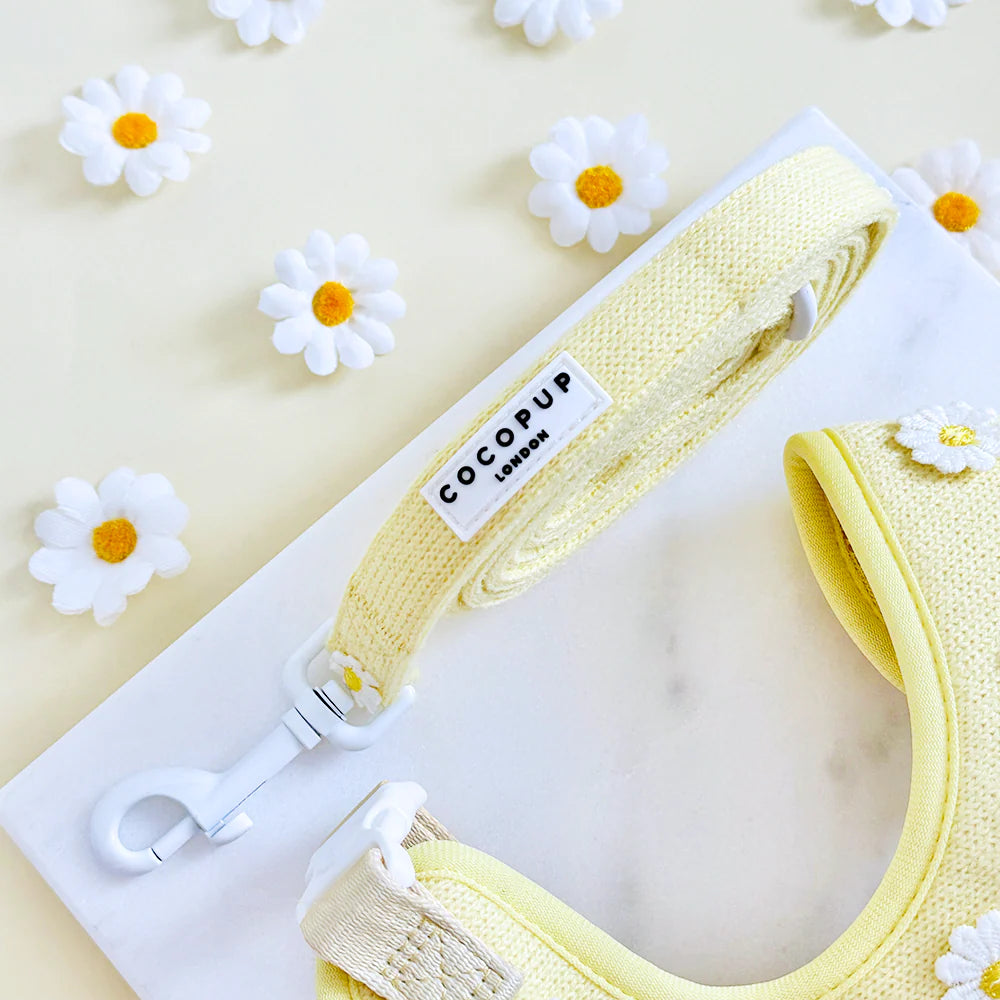 Laisse pour chiot Buttercup - Cocopup London