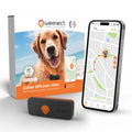 Mini Traceur GPS pour petit chien - Weenect