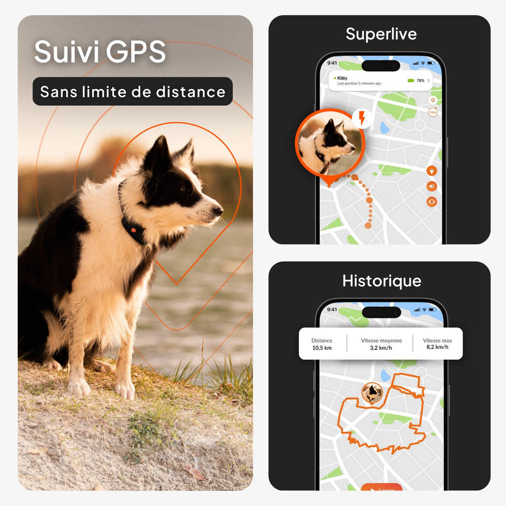 Traceur GPS pour chien - Weenect