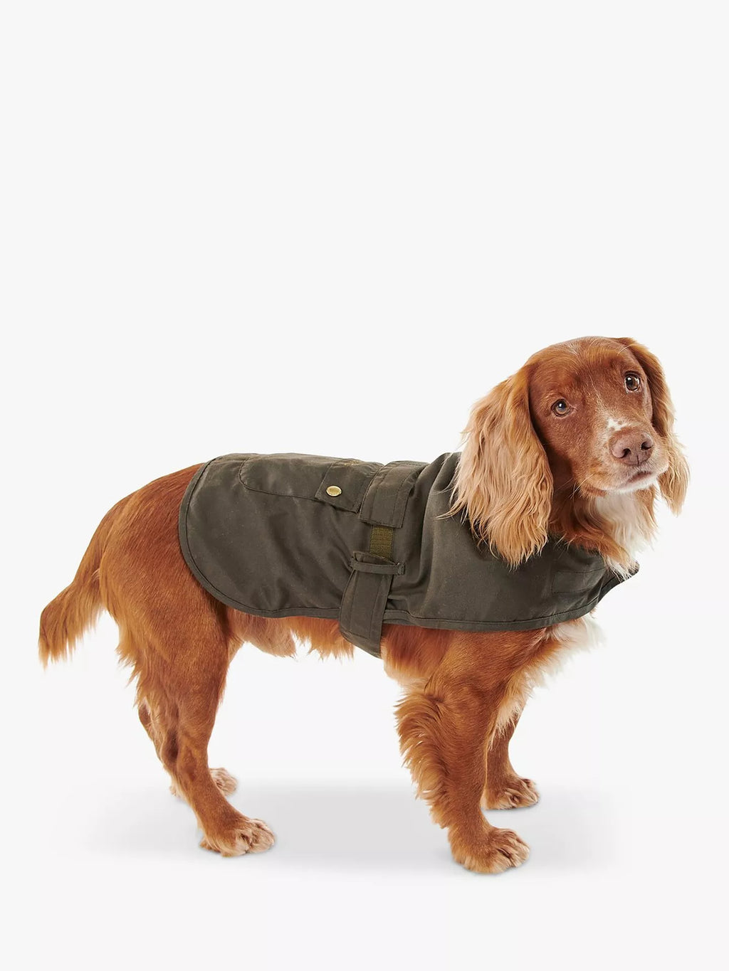 Manteau coton huilé 2 en 1 - Barbour