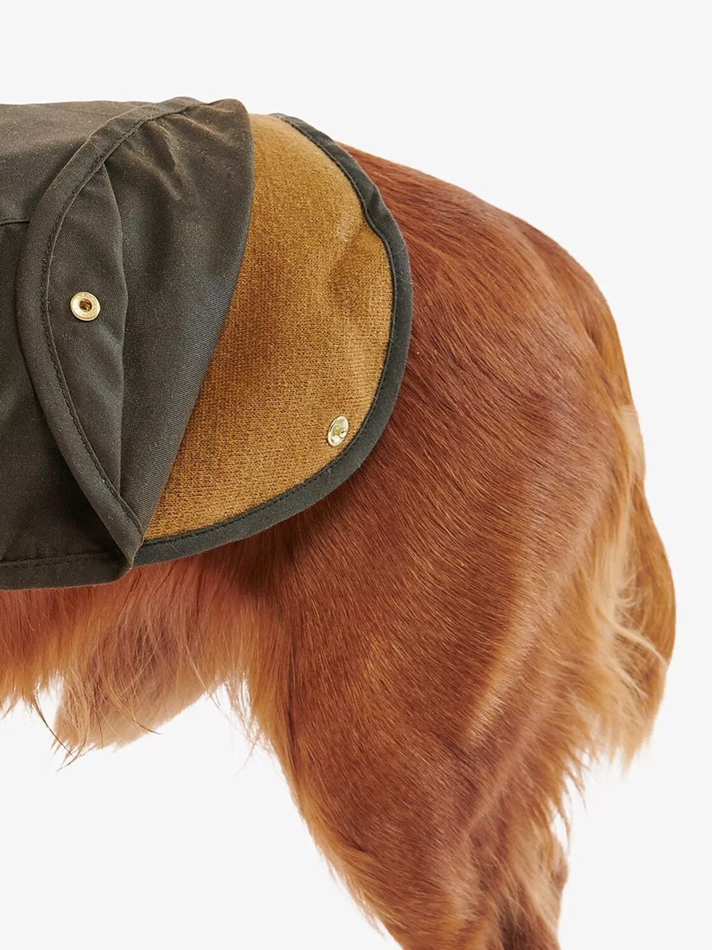 Manteau coton huilé 2 en 1 - Barbour