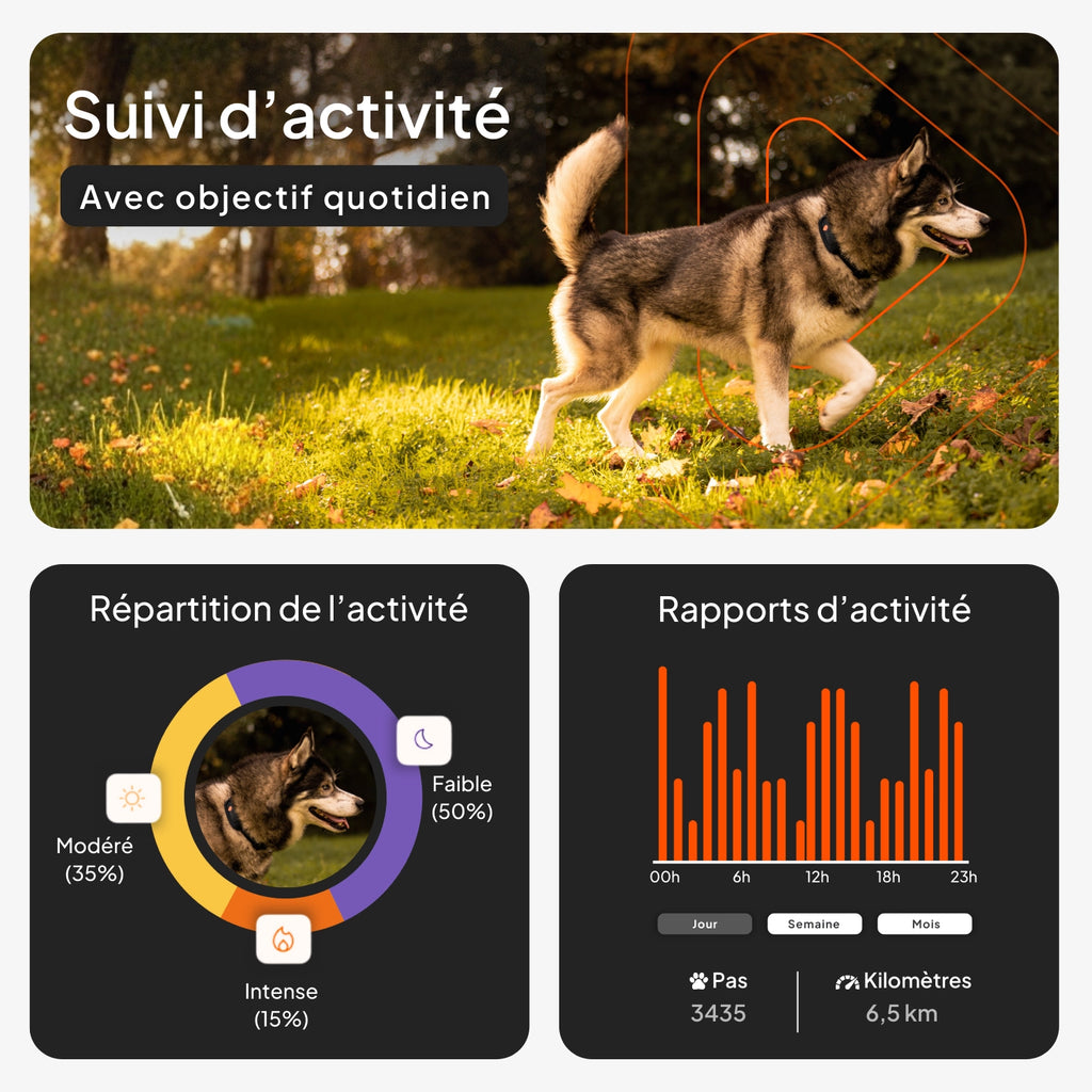 Traceur GPS pour chien - Weenect