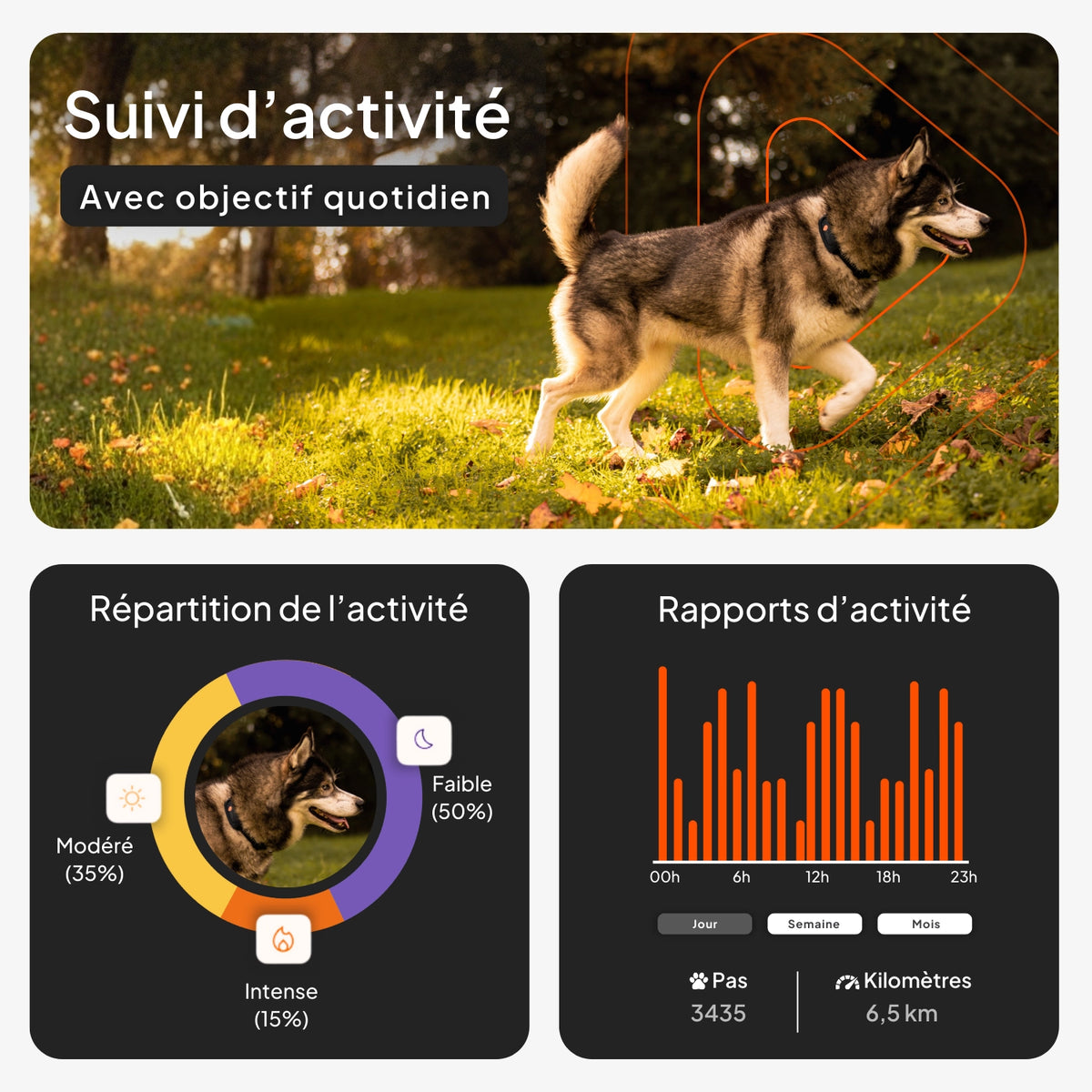 Traceur GPS pour chien - Weenect