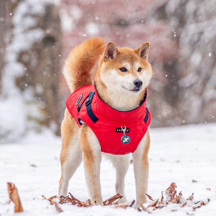 Veste de montagne - Puppia