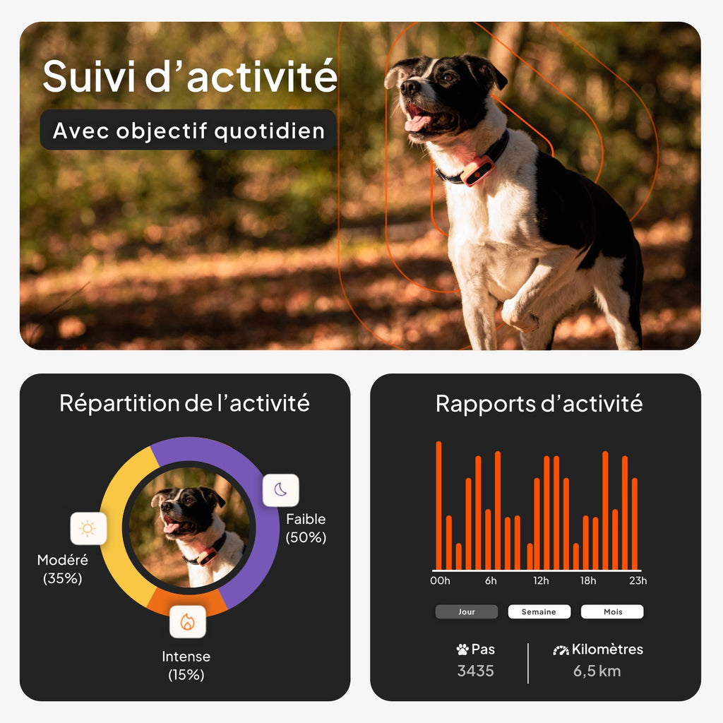 Mini Traceur GPS pour petit chien - Weenect