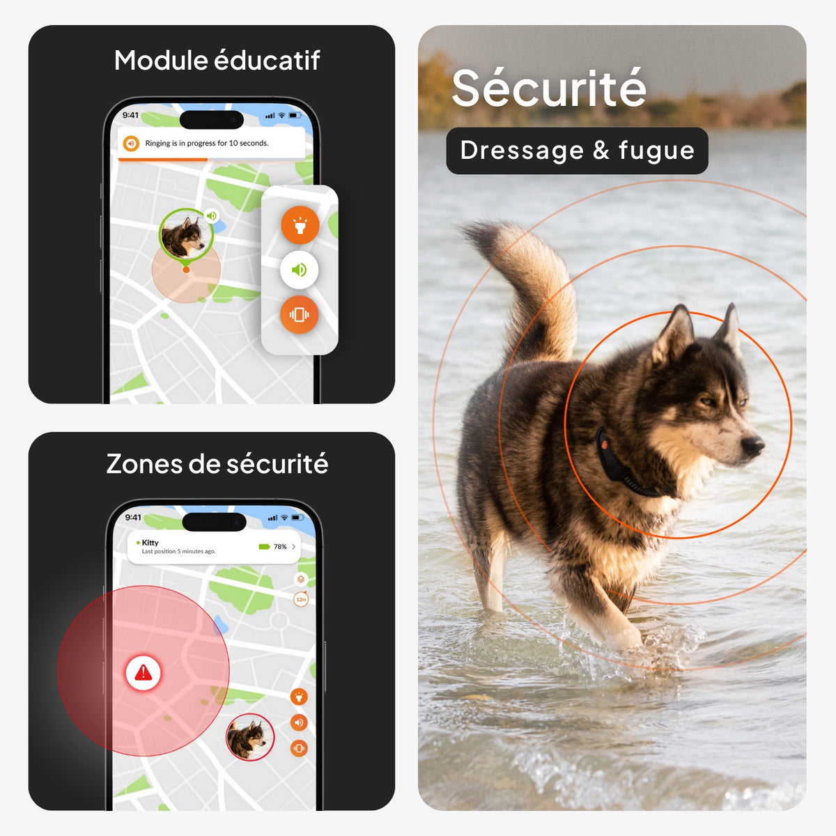 Traceur GPS pour chien - Weenect