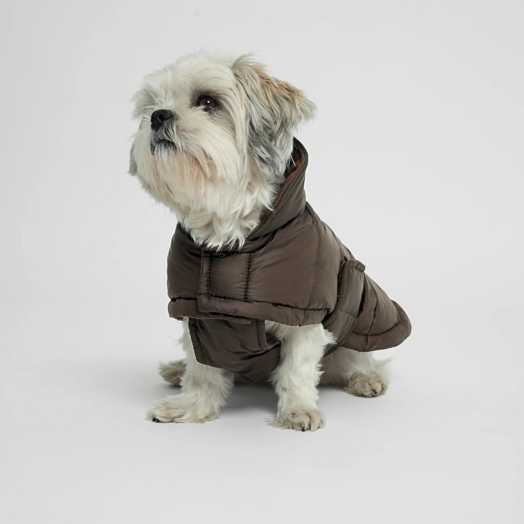 Manteau pour chien Nora Espresso - Staey