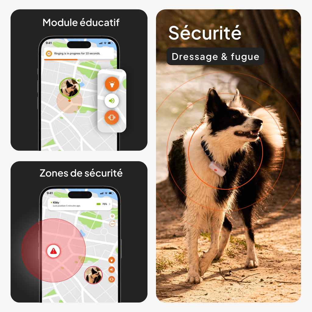 Mini Traceur GPS pour petit chien - Weenect