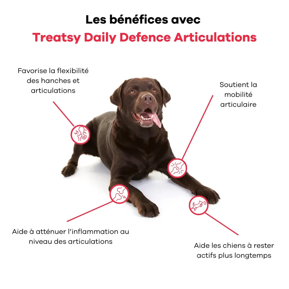 Daily Defence Articulations pour chiens - Treatsy