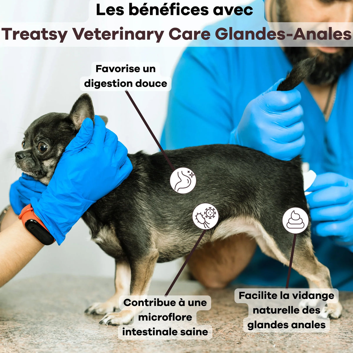 Veterinary Care Glandes anales pour chiens - Treatsy