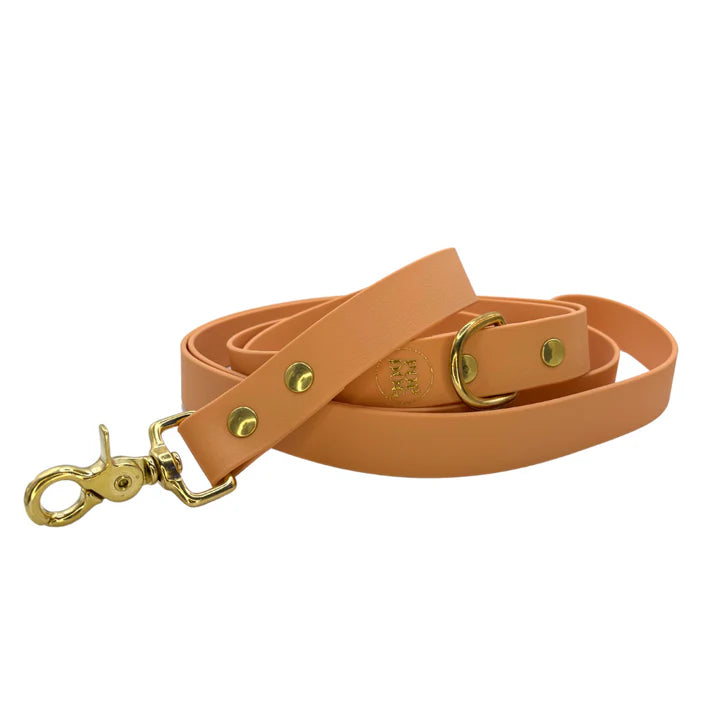 Laisses bandoulière - Pop Dog
