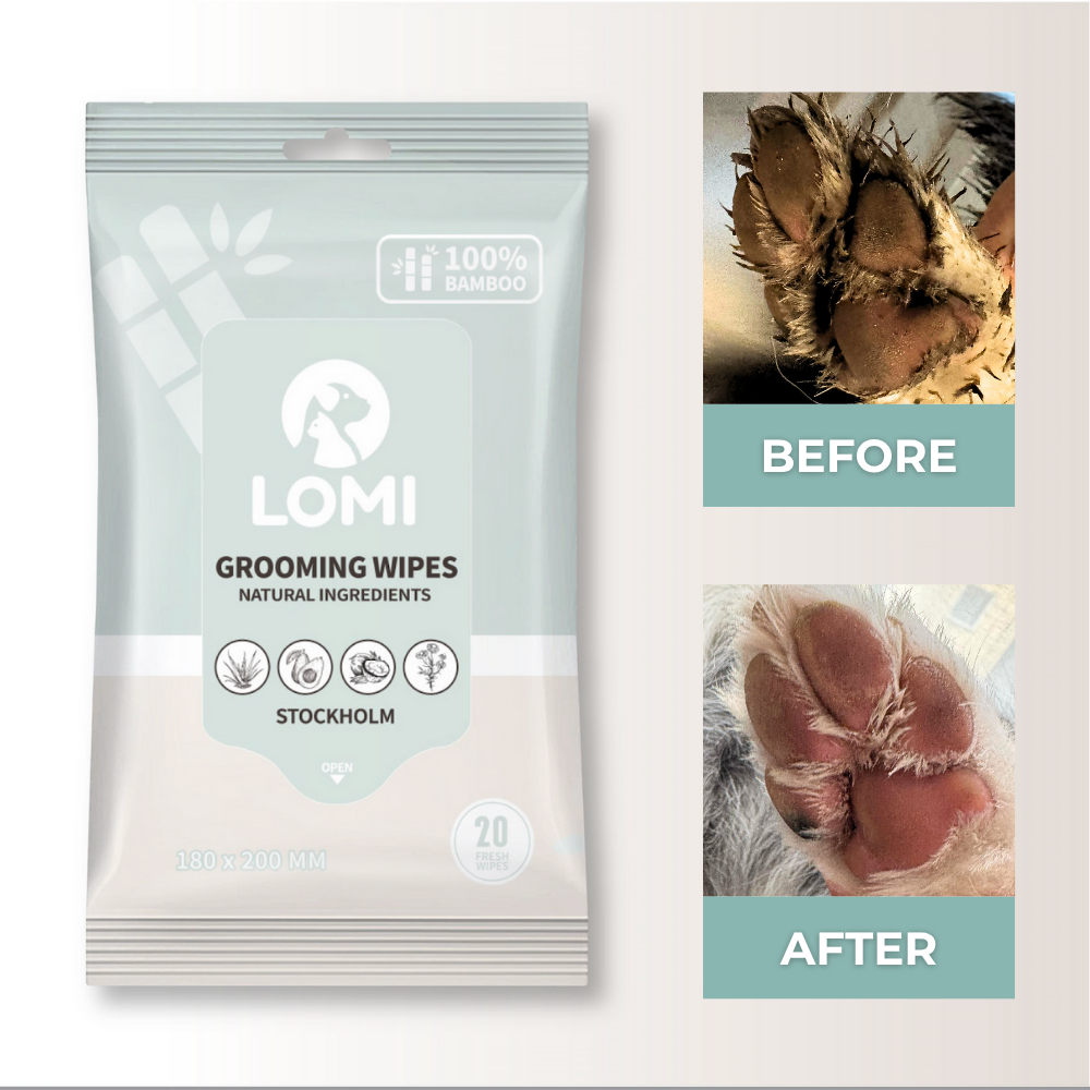 Lingettes humides écologique - Lomi Pet Care
