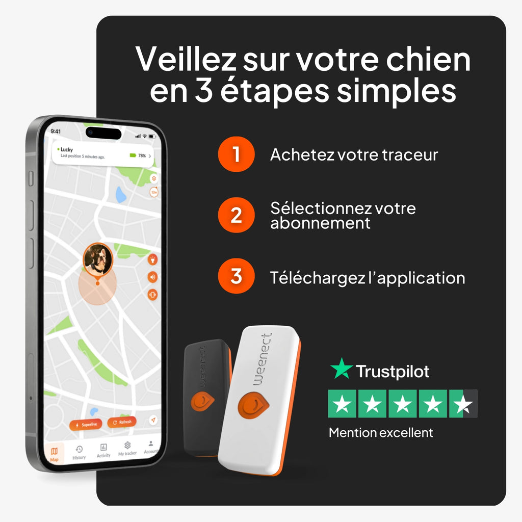 Mini Traceur GPS pour petit chien - Weenect