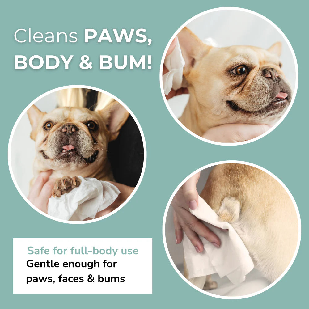 Lingettes humides écologique - Lomi Pet Care