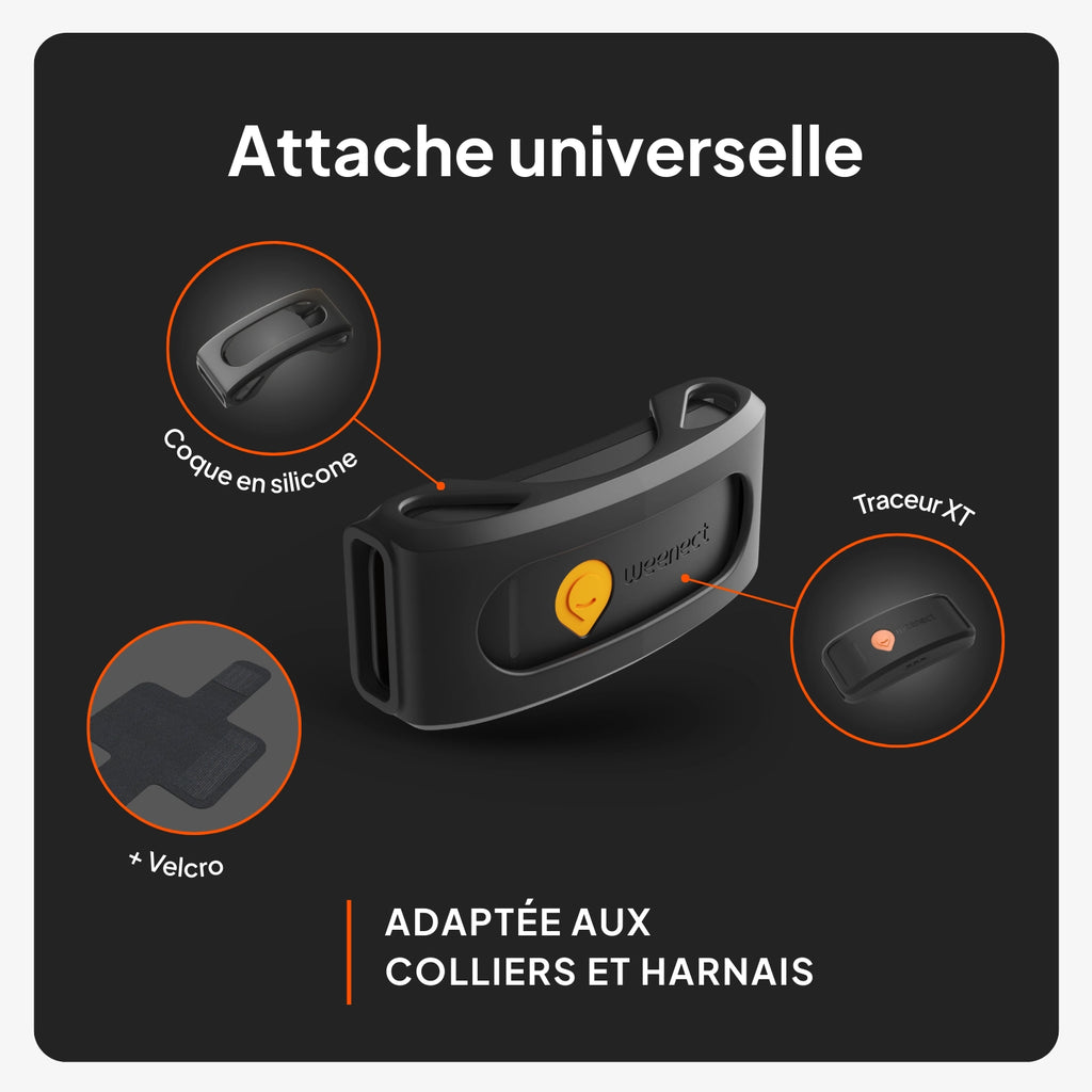 Traceur GPS pour chien - Weenect