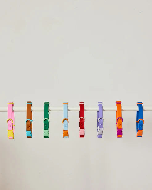 Collier pour chien en silicone - Approved by Fritz
