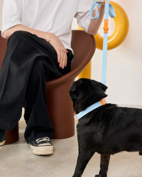Collier pour chien en silicone - Approved by Fritz