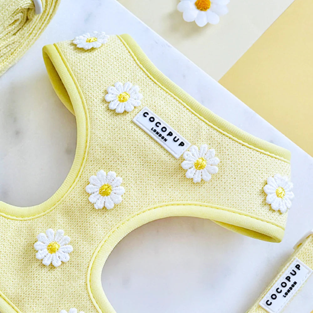 Harnais ajustable Buttercup Pup - Cocopup London