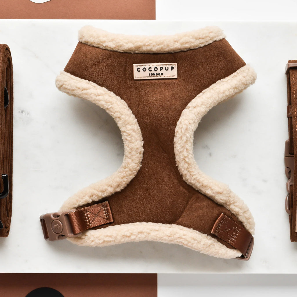 Harnais aviateur marron - Cocopup London