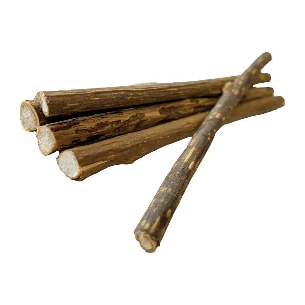 Sticks à croquer Silvervine 5pcs Euphoria Stick - Croci