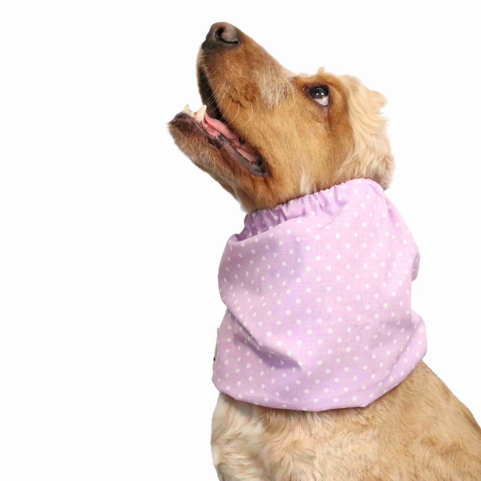 Snood en coton - Distinguish Me