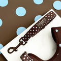 Laisse Biscotti Blue - Cocopup London