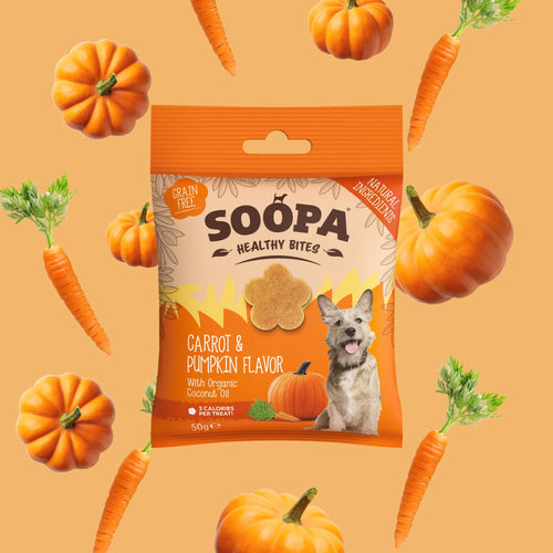Bouchées saines aux fruits - Soopa