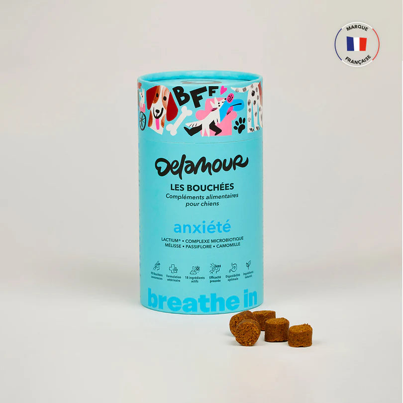 Les Bouchées Delamour - Anxiété