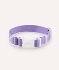 Collier violet - Cafide