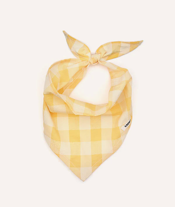 Bandana pour chien - Cafide