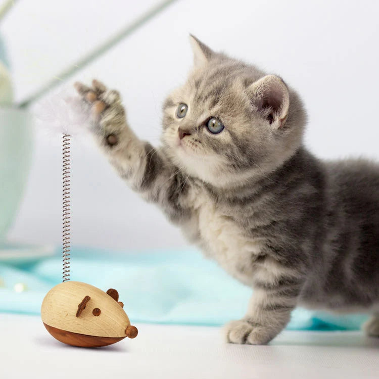 Jouet souris en bois pour chat - Kikkerland