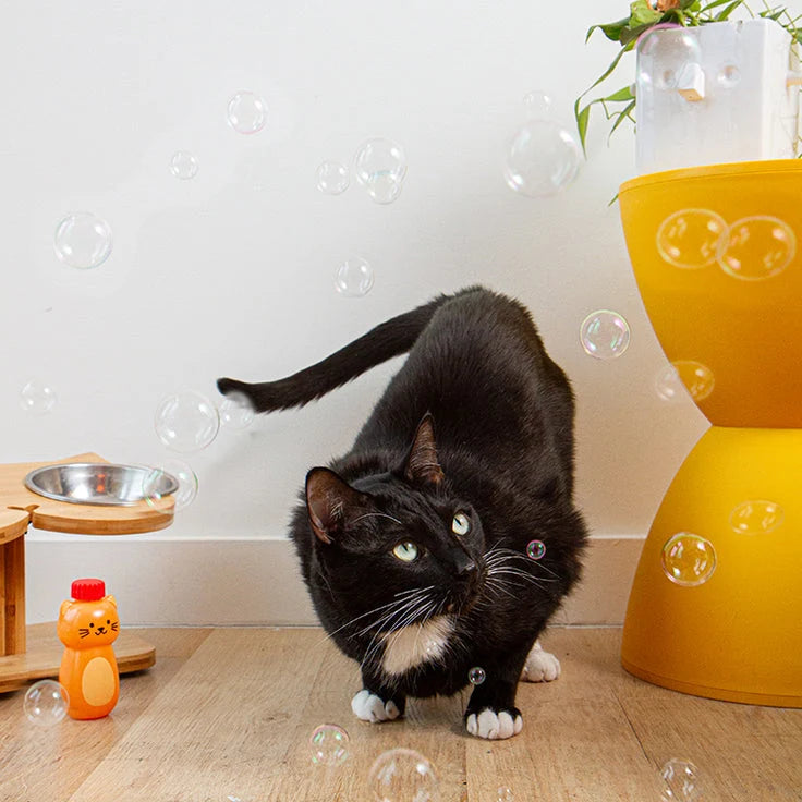 Kiko Catnip Bubbles - Kikkerlands