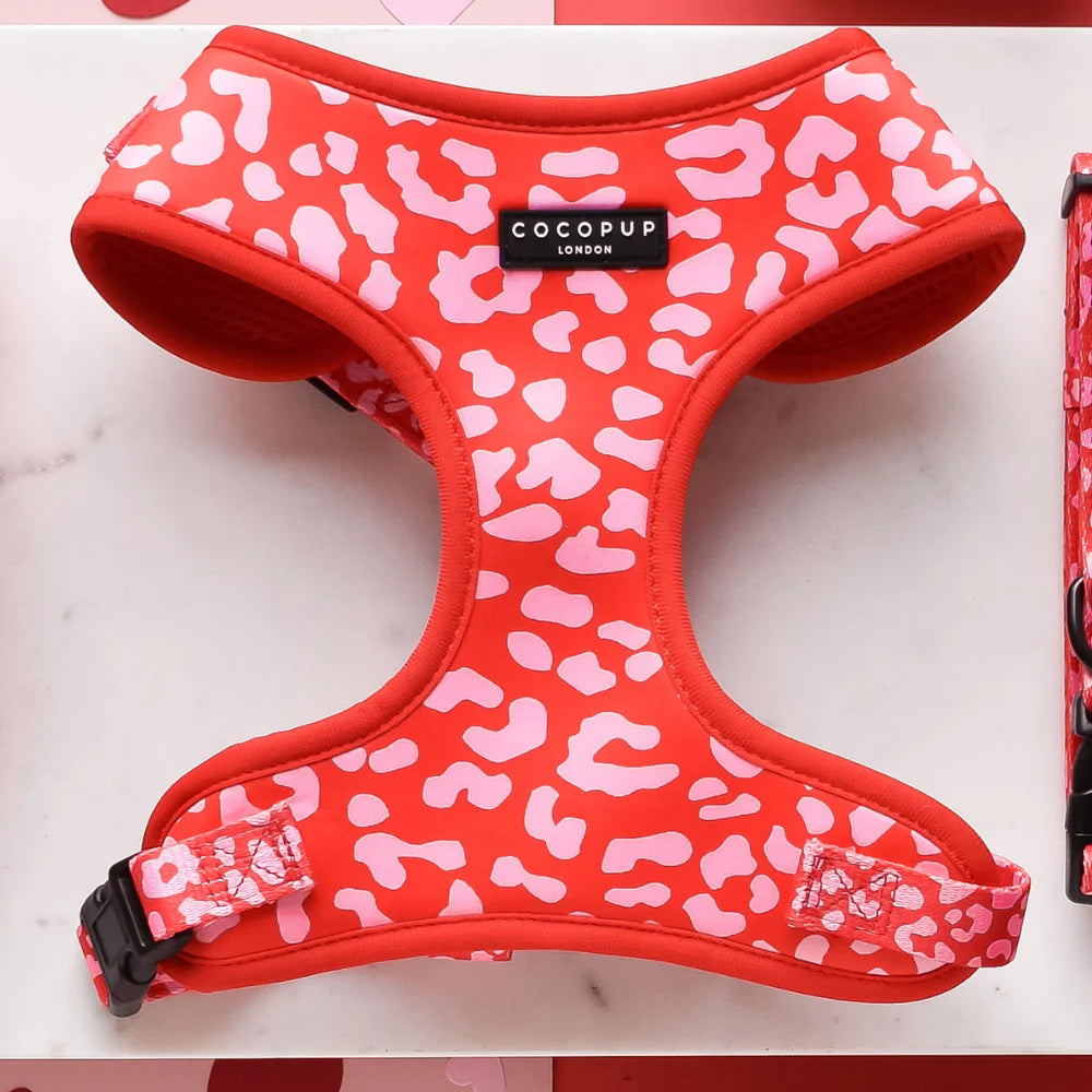 Harnais ajustable léopard rouge et rose - Cocopup London