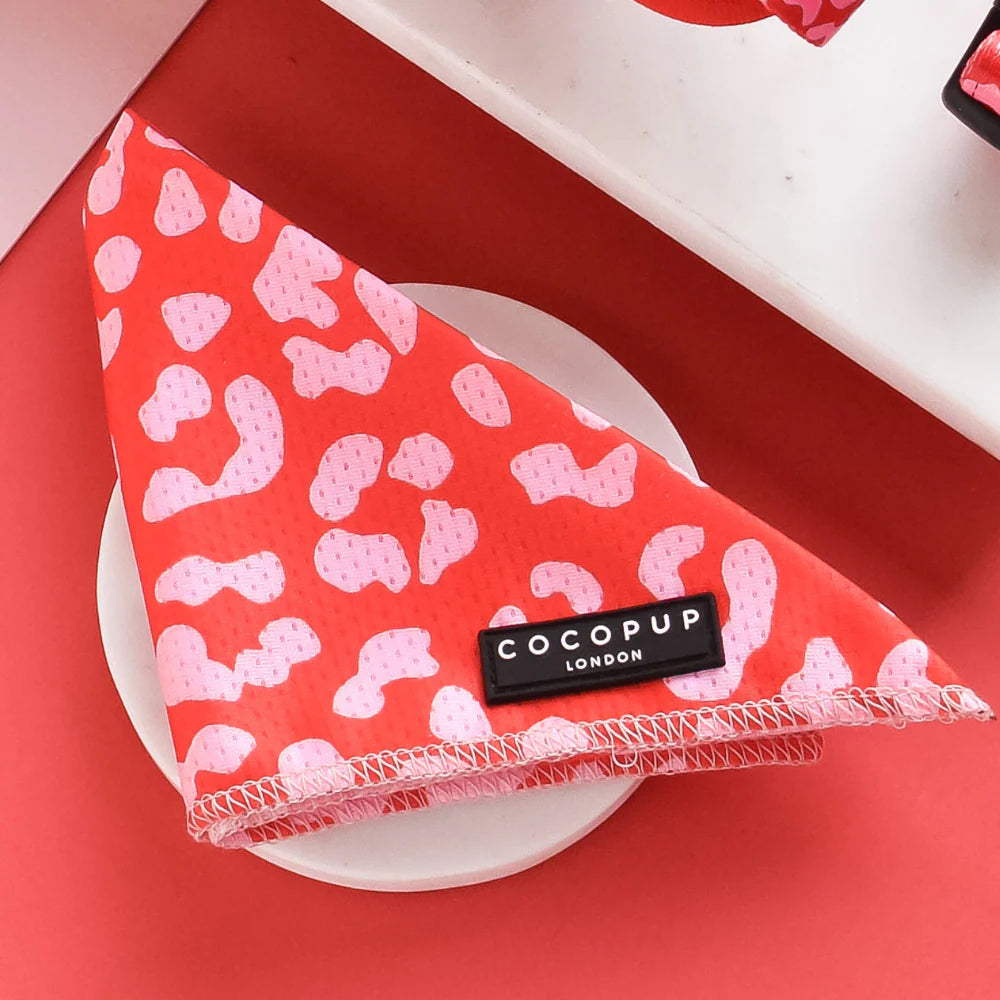Bandana - Cocopup London