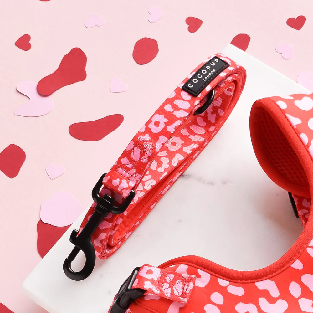 Laisse pour chiot Red & Pink Leopard - Cocopup London