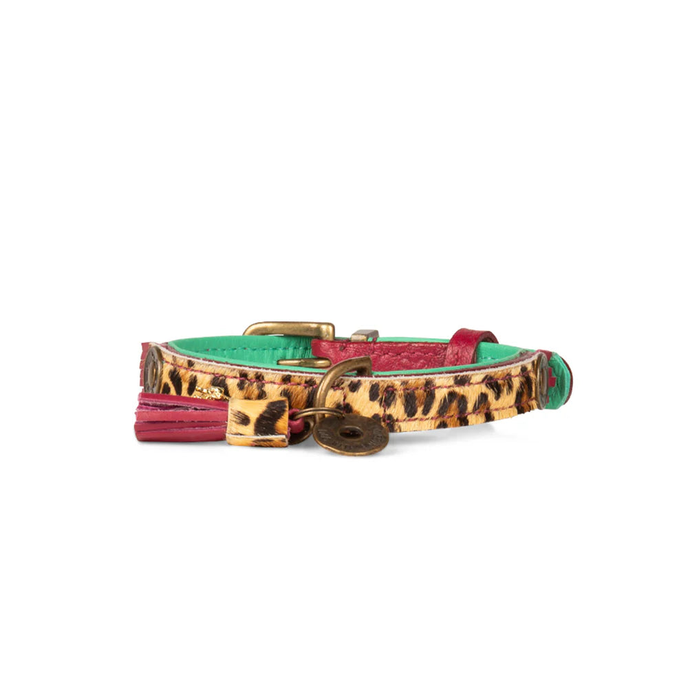 Collier pour chien Lou Lou - Dog With a Mission