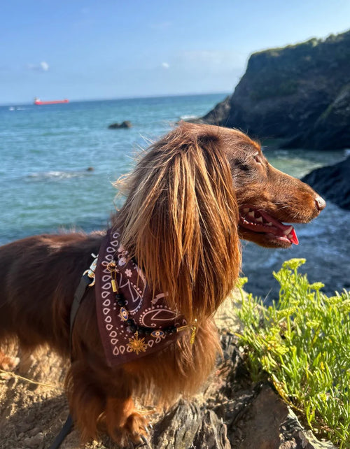Bandana en tissu - Aura Necklace