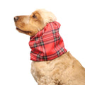 Snood en coton - Distinguish Me