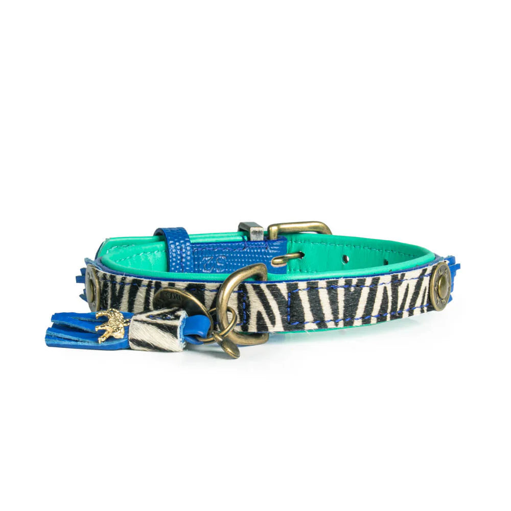 Collier pour chien Dandy - Dog With a Mission