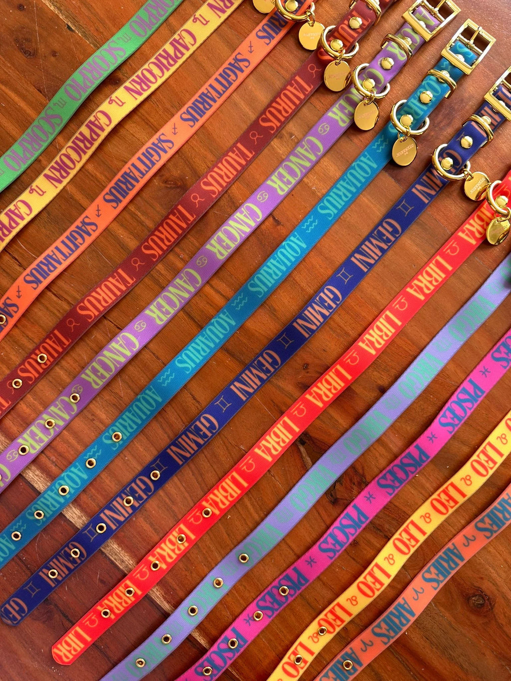 Le collier ZODIAC - Jeannette Dogs