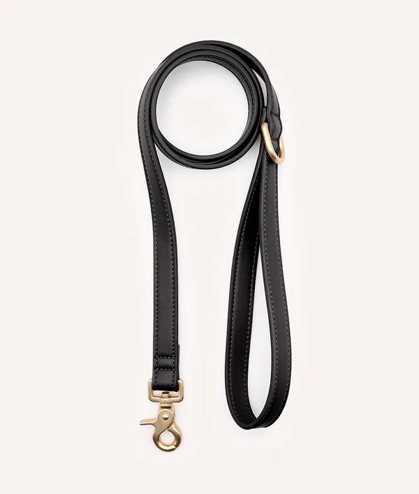 Laisse en Cuir Vegan 140 cm - Cafide