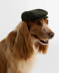 Casquette plate Wilkin pour chien - Barbour