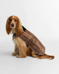 Manteau pour chien imperméable à motif tartan - Barbour
