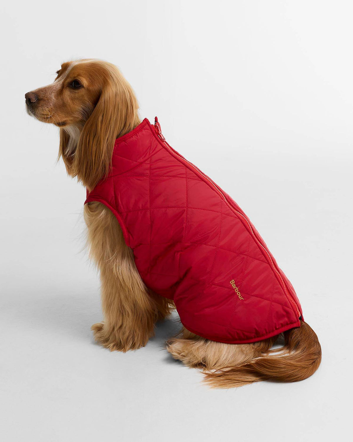 Manteau pour chien réversible Evergreen Tartan - Barbour